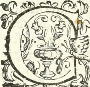 An illustration from Imprese illvstri di diuersi, 1586, leaf 139