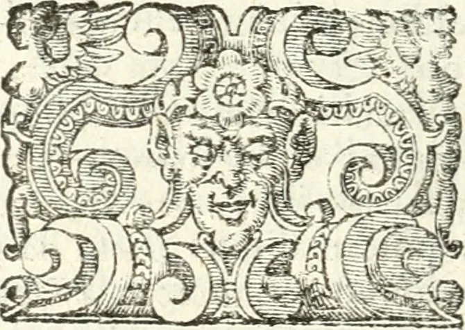 An illustration from Imprese illvstri di diuersi, 1586, leaf 141