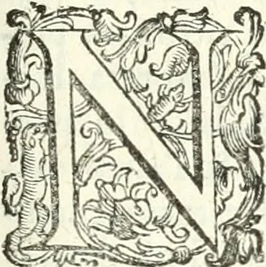 An illustration from Imprese illvstri di diuersi, 1586, leaf 142