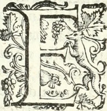 An illustration from Imprese illvstri di diuersi, 1586, leaf 145