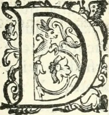 An illustration from Imprese illvstri di diuersi, 1586, leaf 148