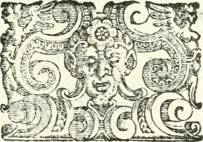 An illustration from Imprese illvstri di diuersi, 1586, leaf 150