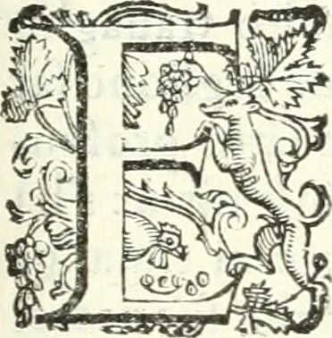 An illustration from Imprese illvstri di diuersi, 1586, leaf 154