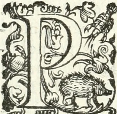 An illustration from Imprese illvstri di diuersi, 1586, leaf 165
