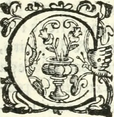 An illustration from Imprese illvstri di diuersi, 1586, leaf 168