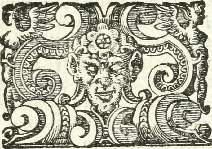An illustration from Imprese illvstri di diuersi, 1586, leaf 170
