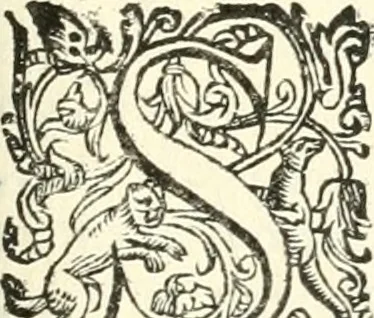 An illustration from Imprese illvstri di diuersi, 1586, leaf 174