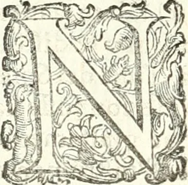 An illustration from Imprese illvstri di diuersi, 1586, leaf 177