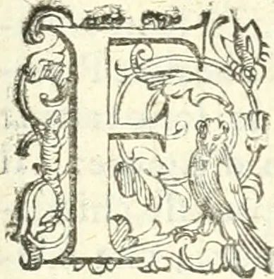 An illustration from Imprese illvstri di diuersi, 1586, leaf 186