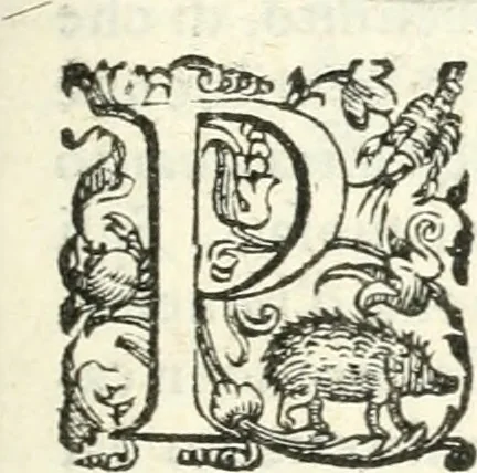 An illustration from Imprese illvstri di diuersi, 1586, leaf 192