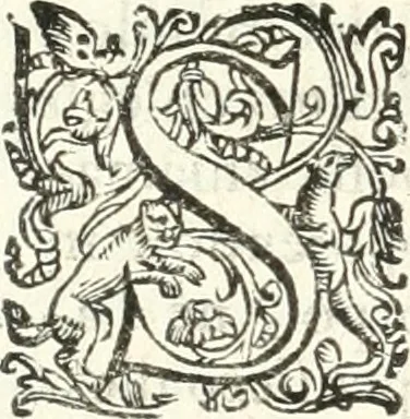 An illustration from Imprese illvstri di diuersi, 1586, leaf 195