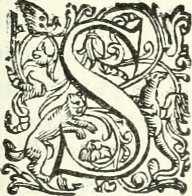 An illustration from Imprese illvstri di diuersi, 1586, leaf 200