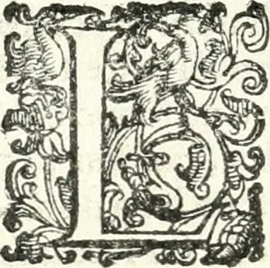 An illustration from Imprese illvstri di diuersi, 1586, leaf 203