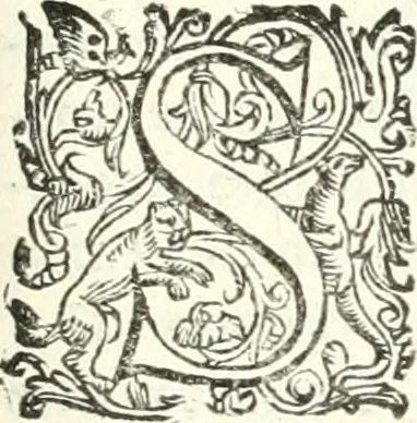 An illustration from Imprese illvstri di diuersi, 1586, leaf 206