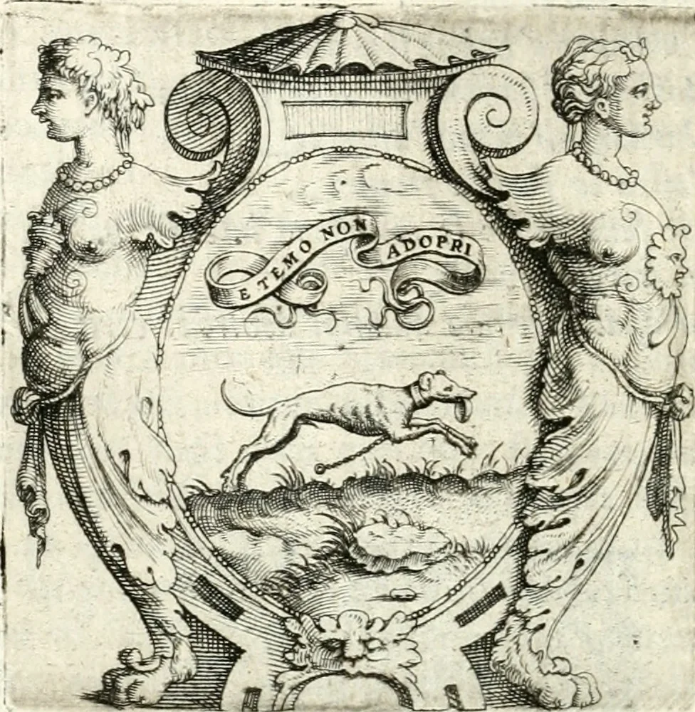 An illustration from Imprese illvstri di diuersi, 1586, leaf 209