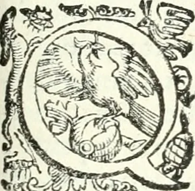 An illustration from Imprese illvstri di diuersi, 1586, leaf 212