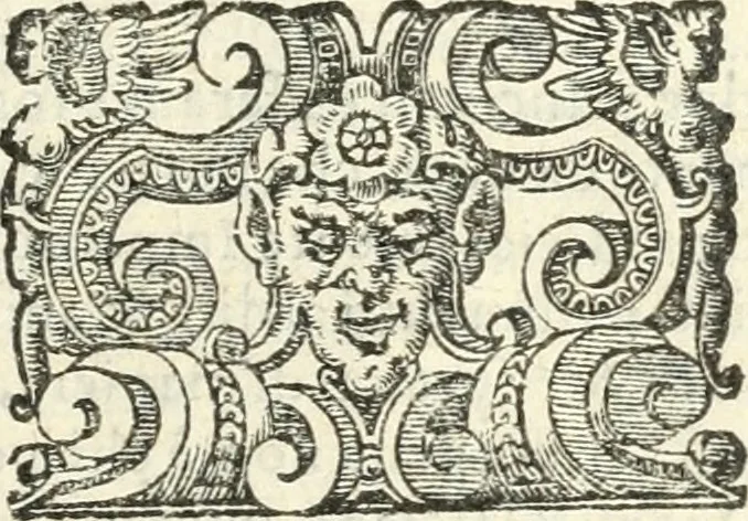 An illustration from Imprese illvstri di diuersi, 1586, leaf 214
