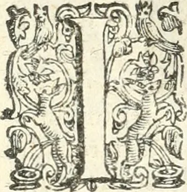 An illustration from Imprese illvstri di diuersi, 1586, leaf 215