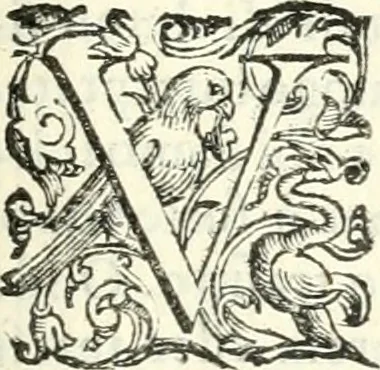 An illustration from Imprese illvstri di diuersi, 1586, leaf 218