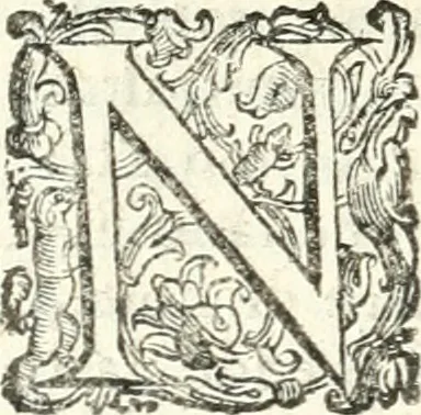 An illustration from Imprese illvstri di diuersi, 1586, leaf 221