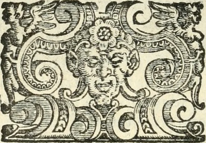 An illustration from Imprese illvstri di diuersi, 1586, leaf 229