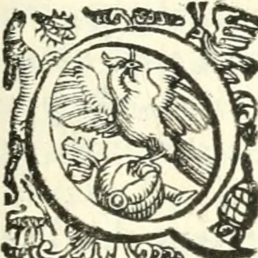 An illustration from Imprese illvstri di diuersi, 1586, leaf 236