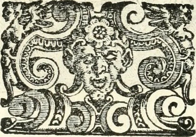 An illustration from Imprese illvstri di diuersi, 1586, leaf 241