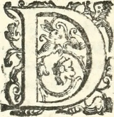 An illustration from Imprese illvstri di diuersi, 1586, leaf 245