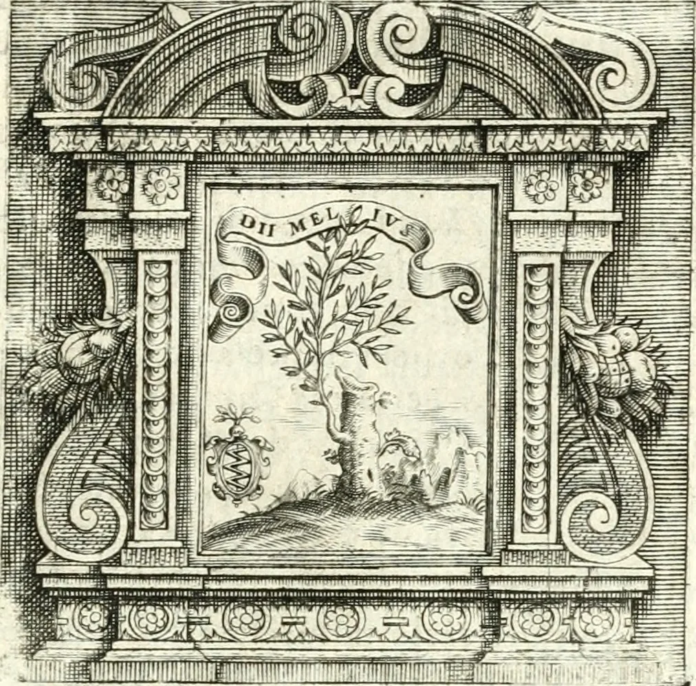 An illustration from Imprese illvstri di diuersi, 1586, leaf 248