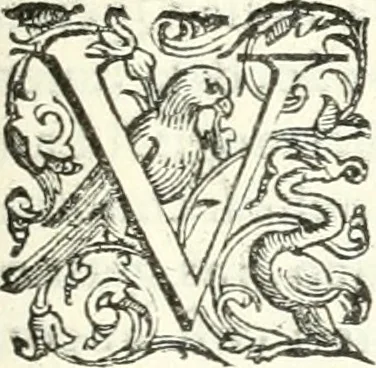 An illustration from Imprese illvstri di diuersi, 1586, leaf 248