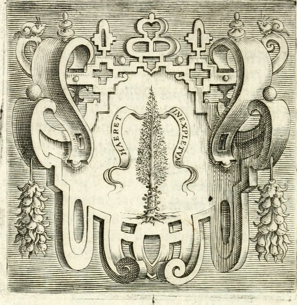 An illustration from Imprese illvstri di diuersi, 1586, leaf 25