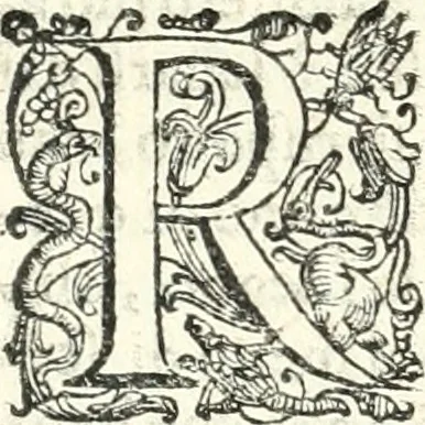 An illustration from Imprese illvstri di diuersi, 1586, leaf 251