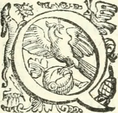 An illustration from Imprese illvstri di diuersi, 1586, leaf 266