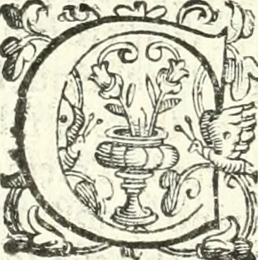 An illustration from Imprese illvstri di diuersi, 1586, leaf 269