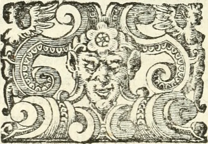 An illustration from Imprese illvstri di diuersi, 1586, leaf 27