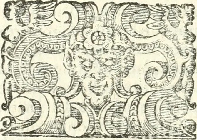 An illustration from Imprese illvstri di diuersi, 1586, leaf 271