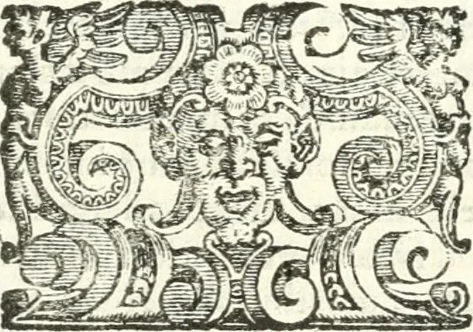 An illustration from Imprese illvstri di diuersi, 1586, leaf 274