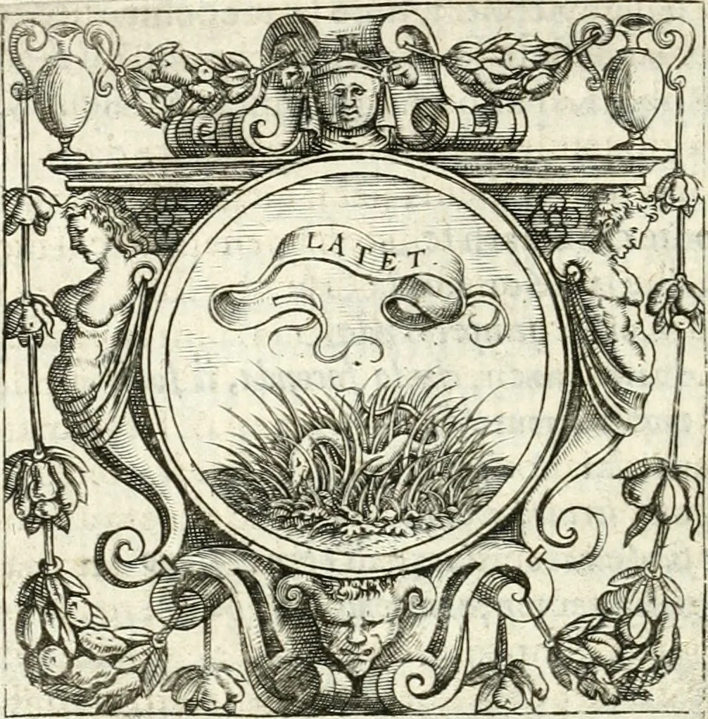 An illustration from Imprese illvstri di diuersi, 1586, leaf 275