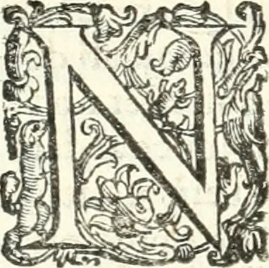 An illustration from Imprese illvstri di diuersi, 1586, leaf 275