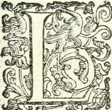 An illustration from Imprese illvstri di diuersi, 1586, leaf 278
