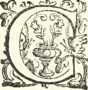 An illustration from Imprese illvstri di diuersi, 1586, leaf 281