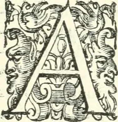An illustration from Imprese illvstri di diuersi, 1586, leaf 284