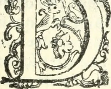 An illustration from Imprese illvstri di diuersi, 1586, leaf 290