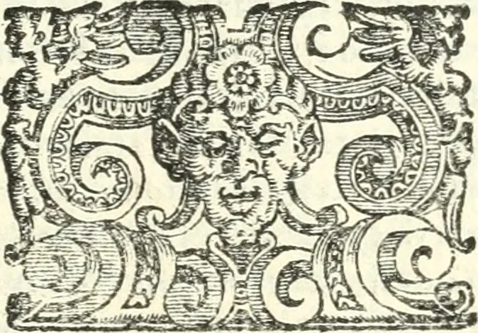 An illustration from Imprese illvstri di diuersi, 1586, leaf 298