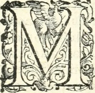 An illustration from Imprese illvstri di diuersi, 1586, leaf 299