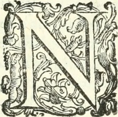 An illustration from Imprese illvstri di diuersi, 1586, leaf 302