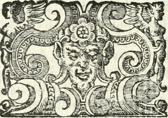 An illustration from Imprese illvstri di diuersi, 1586, leaf 307
