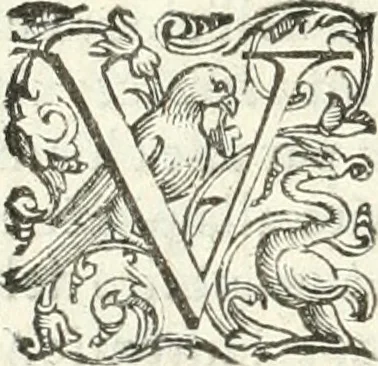 An illustration from Imprese illvstri di diuersi, 1586, leaf 31