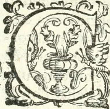 An illustration from Imprese illvstri di diuersi, 1586, leaf 311