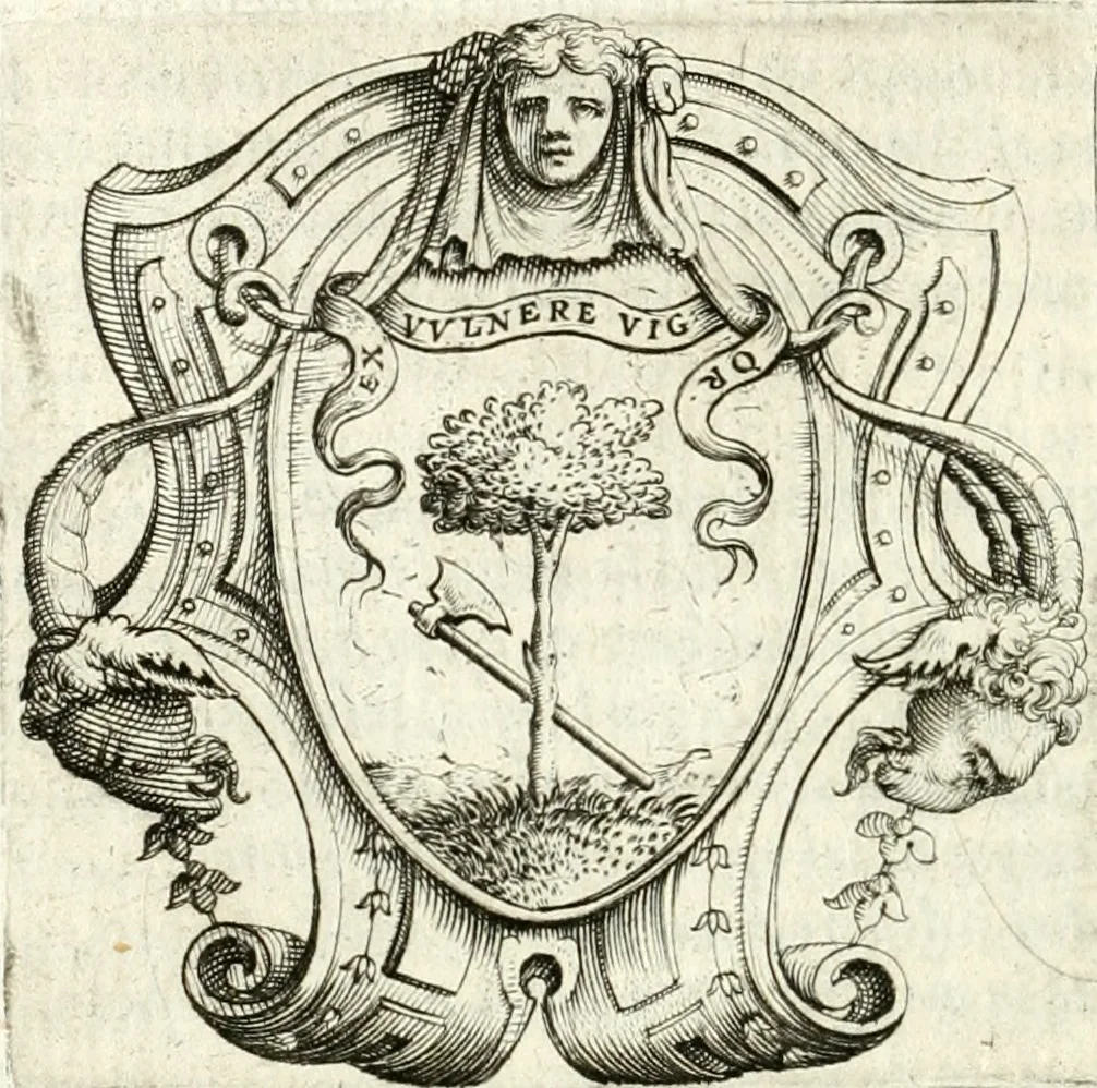 An illustration from Imprese illvstri di diuersi, 1586, leaf 317